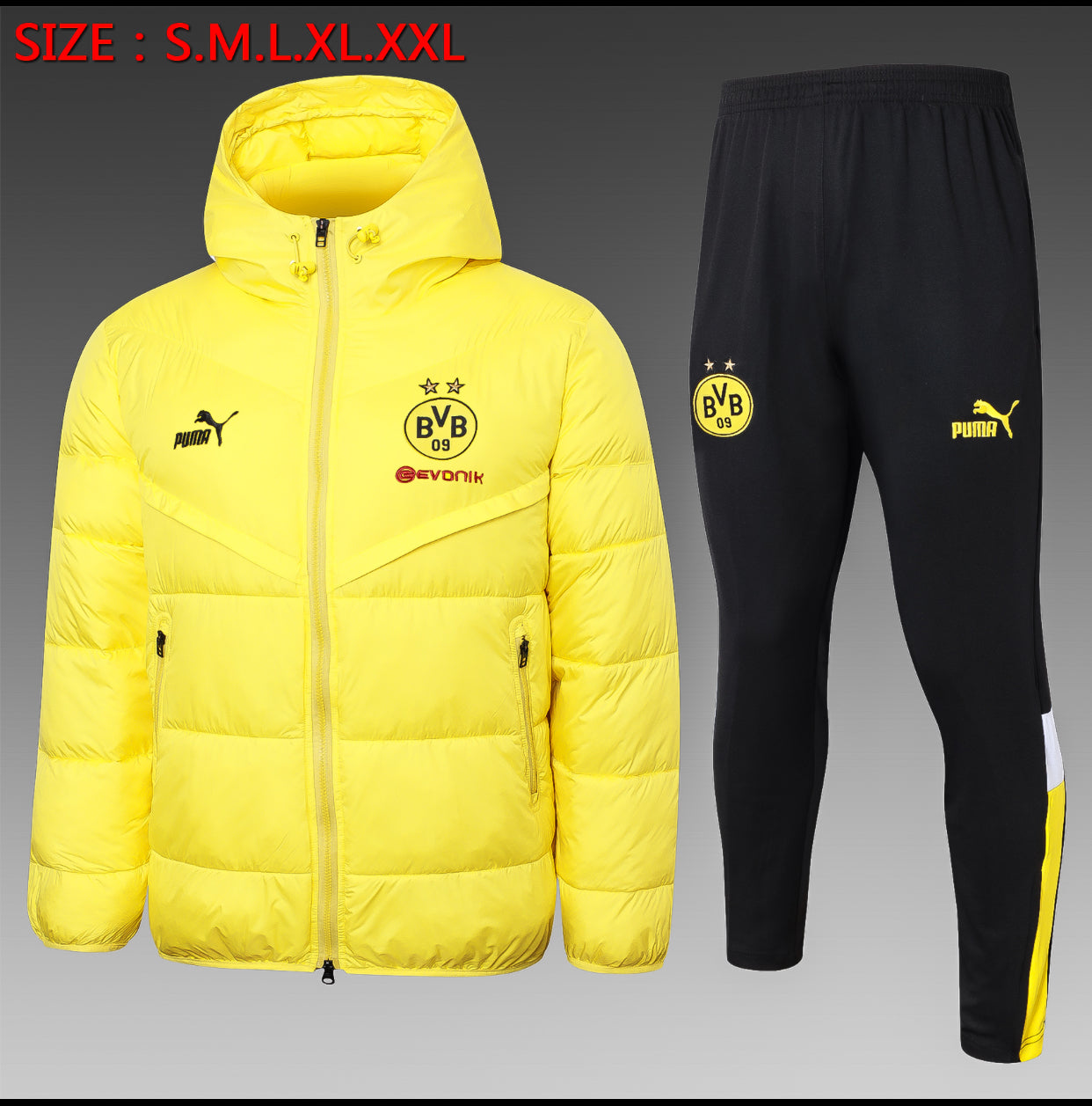 Dortmund FC Men’s 23/24 Puffer Jacket Set